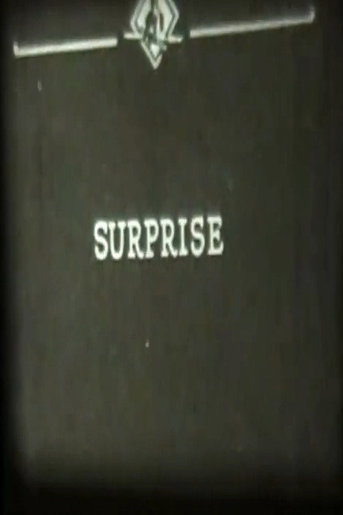 Surprise (1923) movie poster