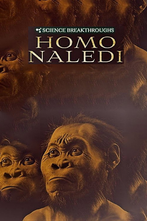 Science Breakthroughs: Homo Naledi (2017) movie poster