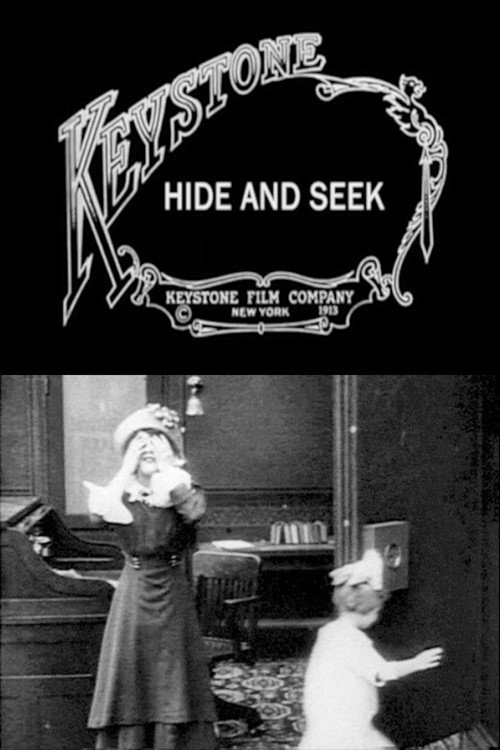 Hide and Seek (1913) movie poster