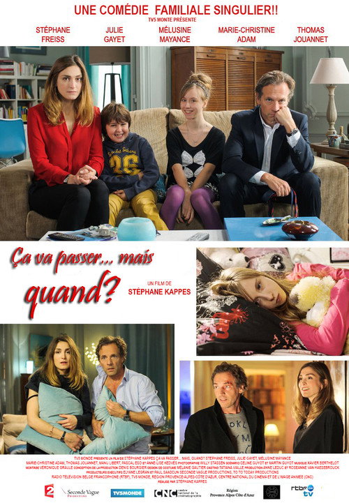 Ça va passer... mais quand ? (2014) movie poster