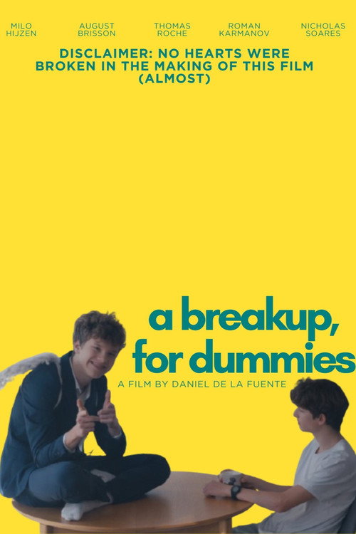 A Breakup, for Dummies. (2025) movie poster