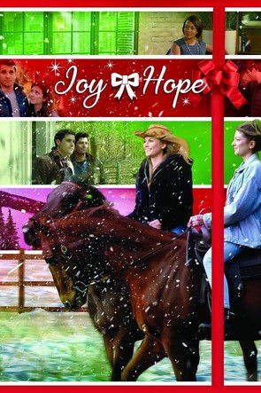 Joy & Hope (2020) movie poster