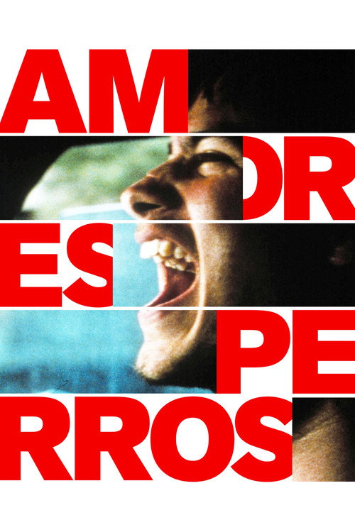 Amores Perros (2000) movie poster