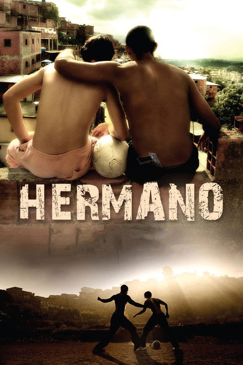 Brother (2010) movie poster