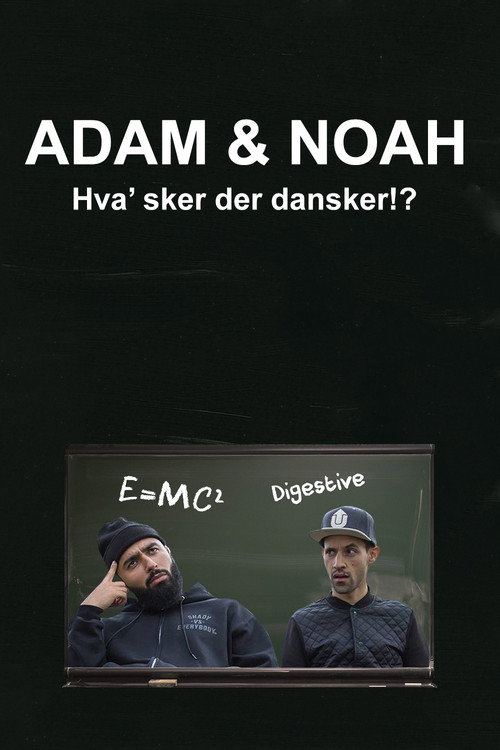 Adam & Noah: Hva' Sker Der Dansker!? (2017) movie poster