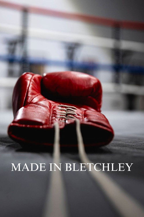 Made in Bletchley movie poster