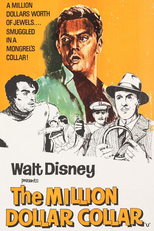 The Ballad of Hector the Stowaway Dog (1964) movie poster
