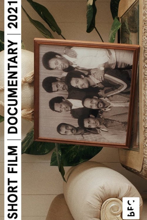 IT IS A SOUL: A Portrait of Hailu Mergia (2021) movie poster