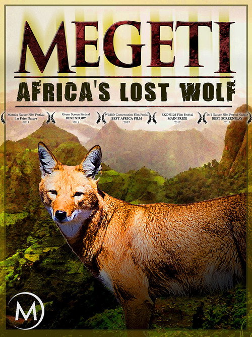 Megeti - Africa's Lost Wolf (2016) movie poster