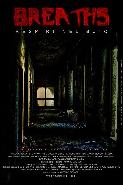 Breaths: Breathe in the Dark (2011) movie poster