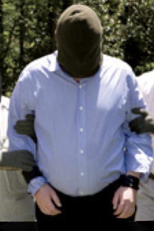 Christopher Hitchens: Believe Me, It's Torture (2008) movie poster