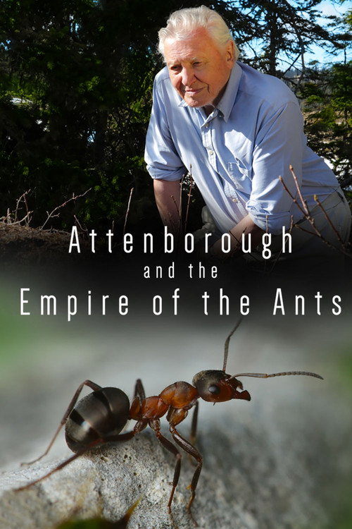 Attenborough and the Empire of the Ants (2017) movie poster
