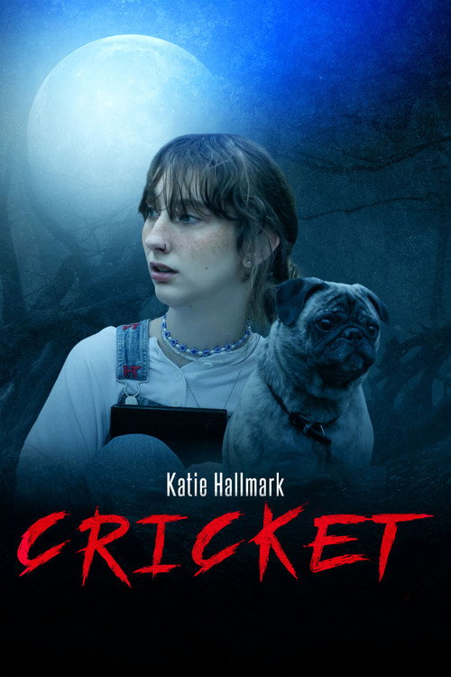 CRICKET movie poster