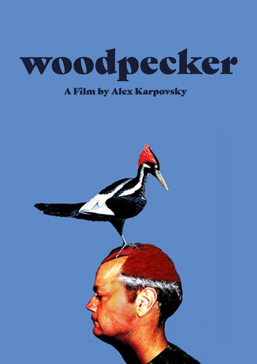Woodpecker (2008) movie poster