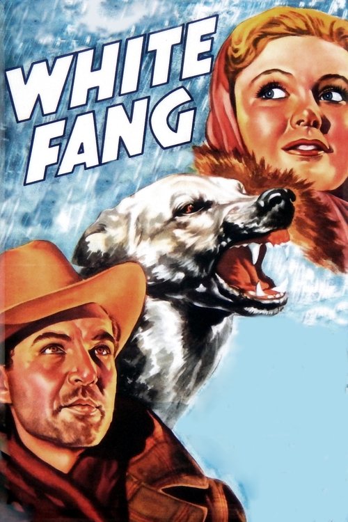 White Fang (1936) movie poster
