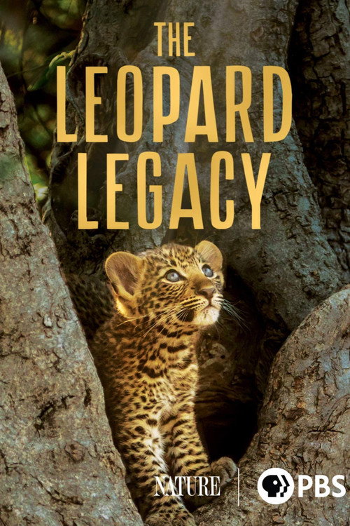 The Leopard Legacy (2020) movie poster