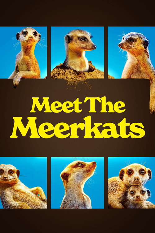 Meet The Meerkats (2021) TV show poster