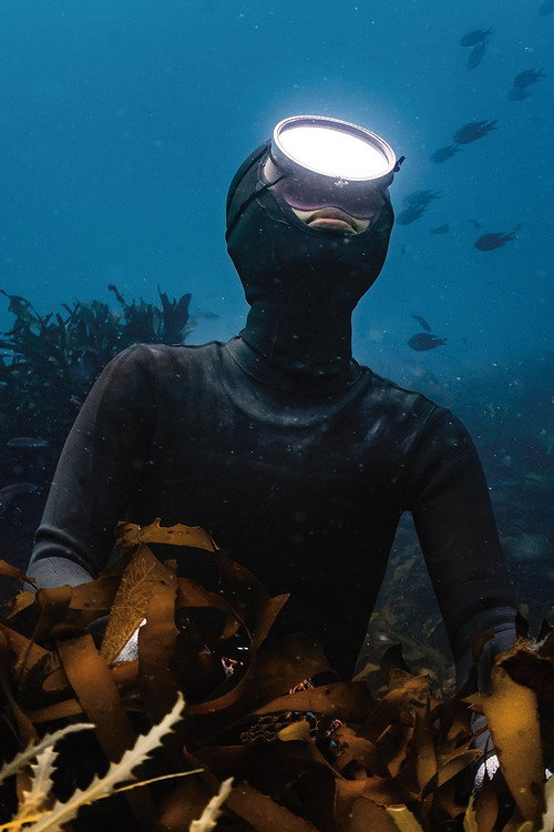 Daughter of the Sea (2023) movie poster
