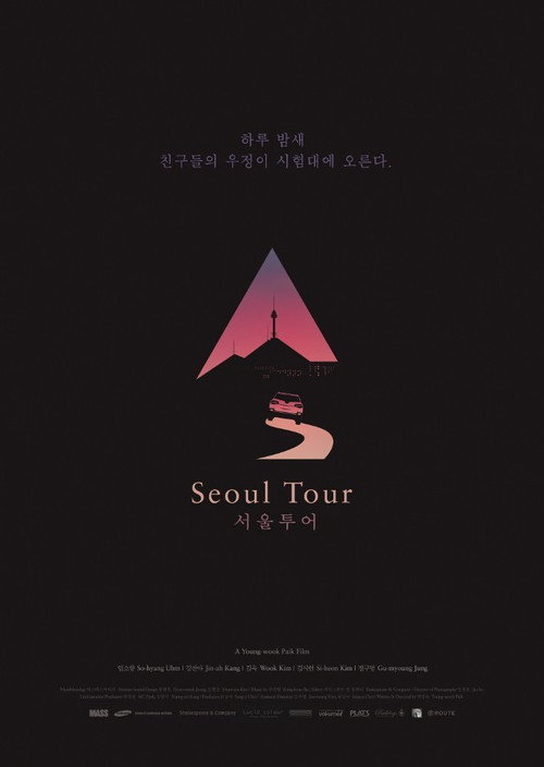Seoul Tour (2017) movie poster