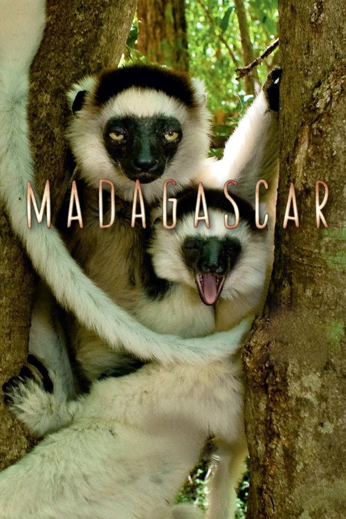 Madagascar (2011) TV show poster