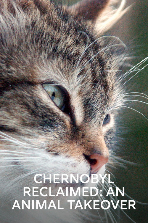 Chernobyl Reclaimed: An Animal Takeover (2007) movie poster