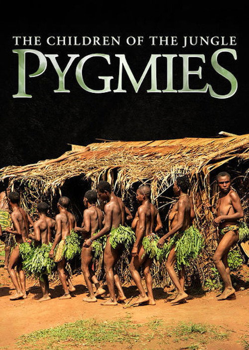 Pygmies: The Children of the Jungle (2011) movie poster