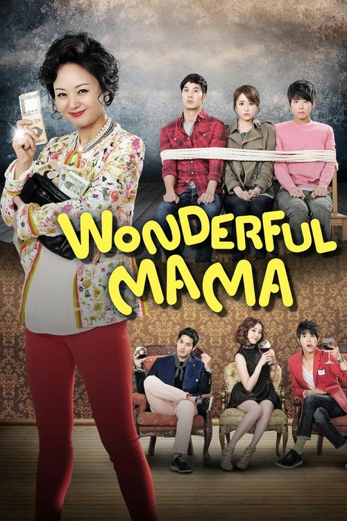 Wonderful Mama (2013) TV show poster