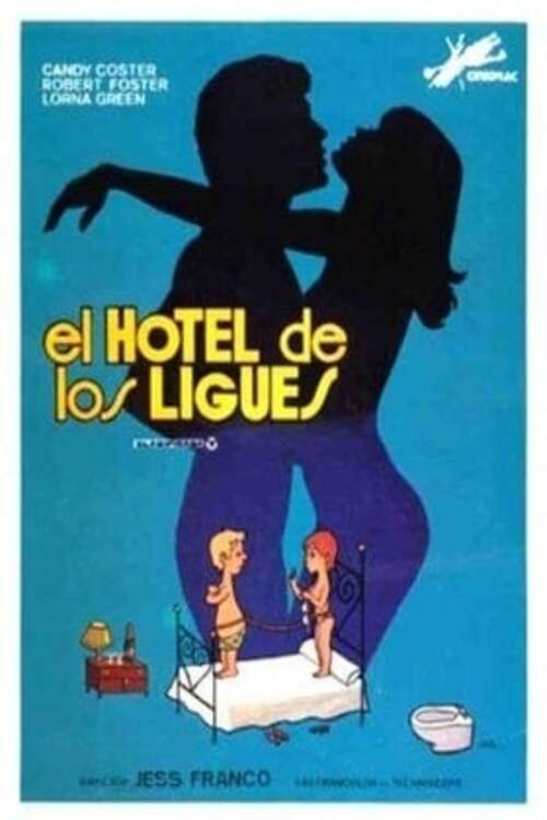 The Hotel of Love Affairs (1983) movie poster