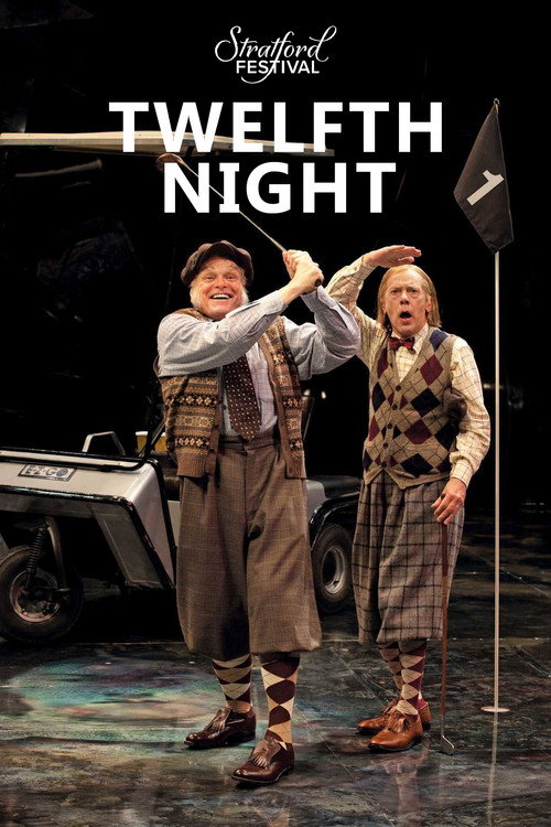 Twelfth Night (2012) movie poster