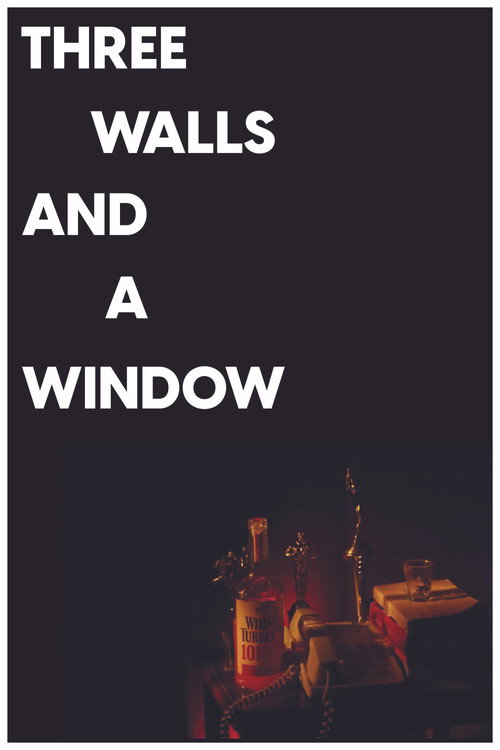Three Walls and a Window (2019) movie poster