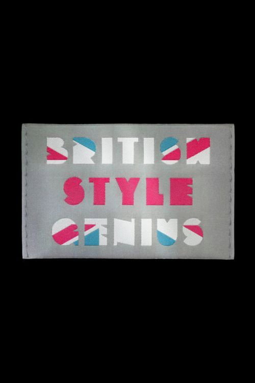 British Style Genius (2008) TV show poster