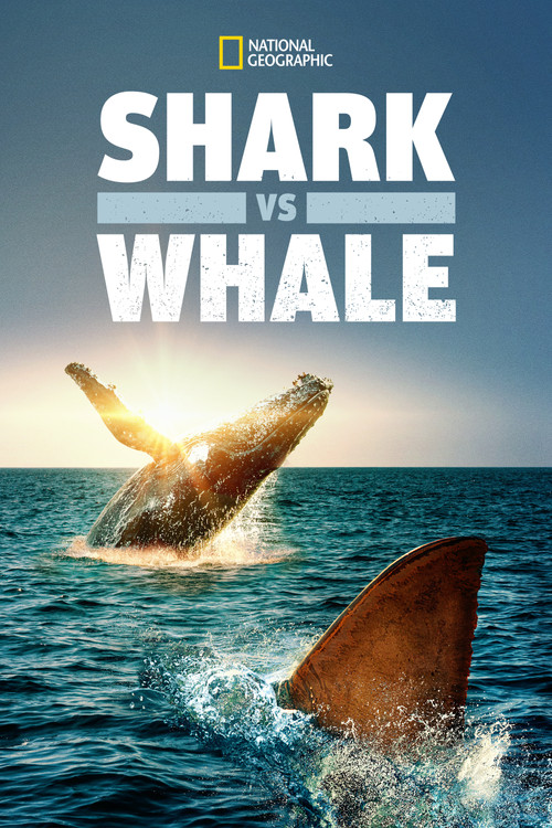 Shark Vs. Whale (2020) movie poster