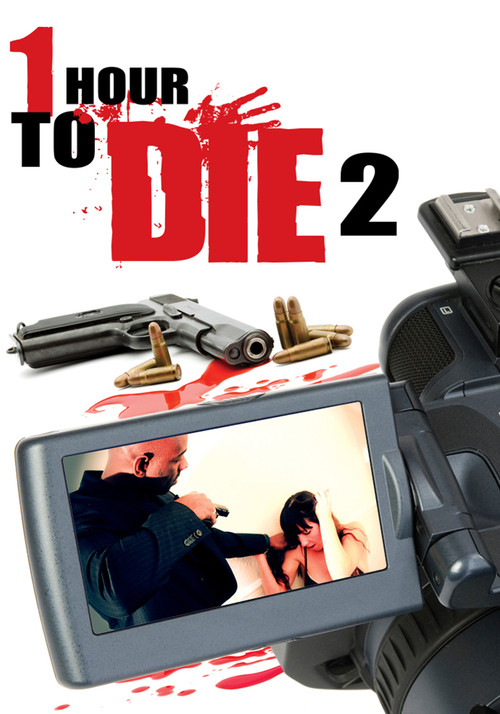 1 Hour to Die 2 (2013) movie poster