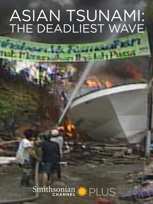 Asian Tsunami: The Deadliest Wave (2014) movie poster