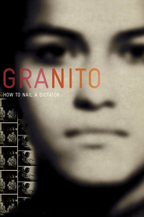 Granito: How to Nail a Dictator (2011) movie poster