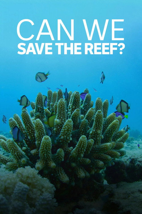 Can We Save the Reef? (2018) movie poster