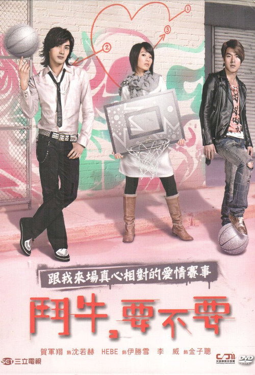 Hooping Dulcinea (2007) TV show poster