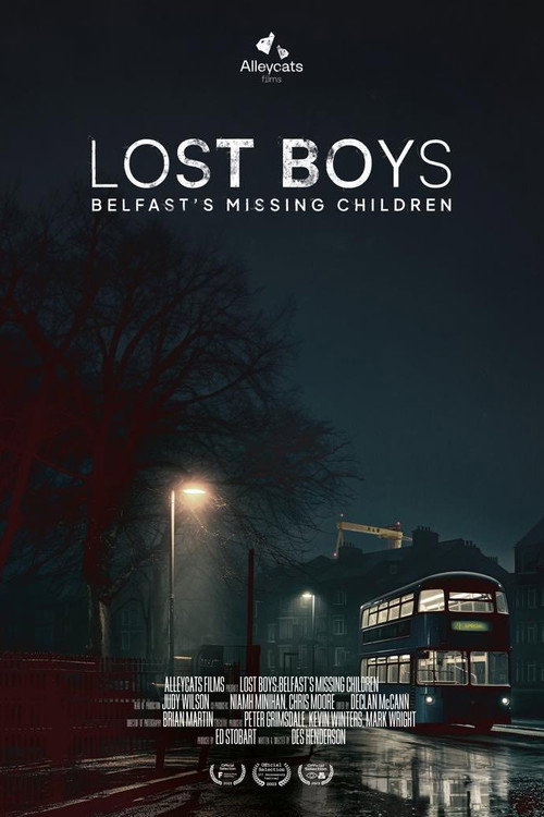 Lost Boys: Belfast's Missing Children (2023) movie poster