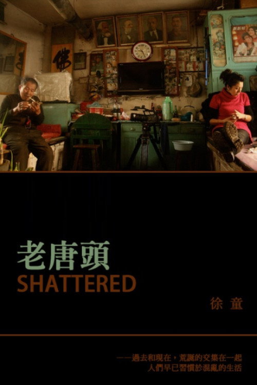 Shattered (2011) movie poster