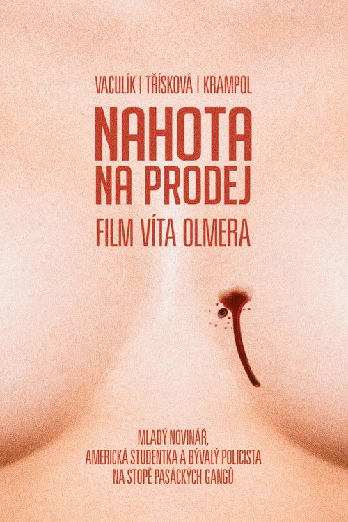 Nudity For Sale (1993) movie poster