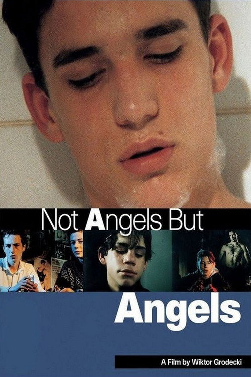 Not Angels But Angels (1994) movie poster
