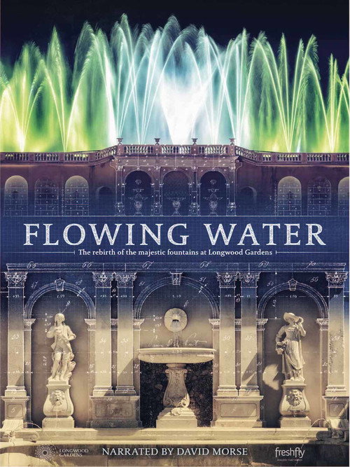 Flowing Water (2017) movie poster