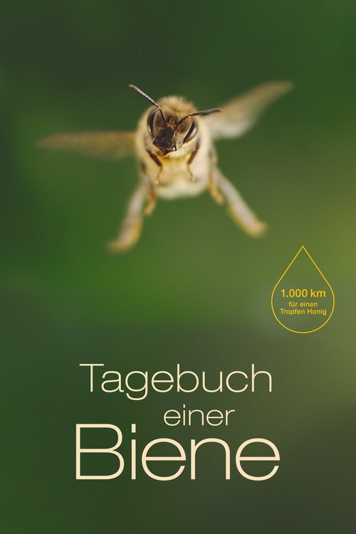 Diary of a Bee (2021) movie poster