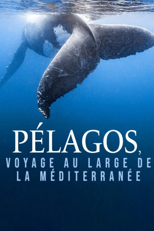 Pélagos, voyage au large de la Méditerranée (2023) movie poster