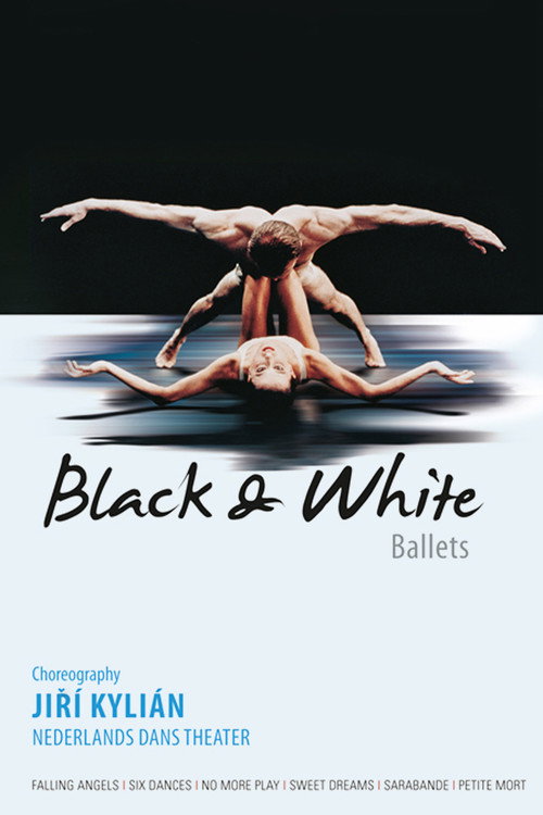 Black & White (2001) TV show poster