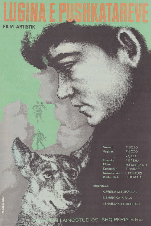 Valley of the Riflemen (1970) movie poster