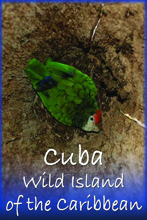 Cuba: Wild Island of the Caribbean (2018) movie poster