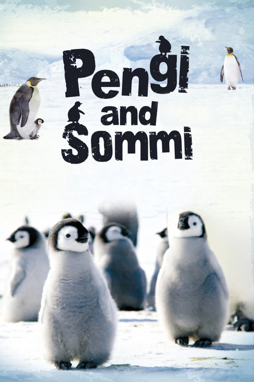Pengi and Sommi (2012) movie poster