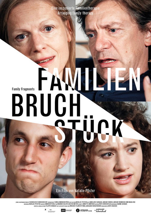 Family Fragments (2015) movie poster