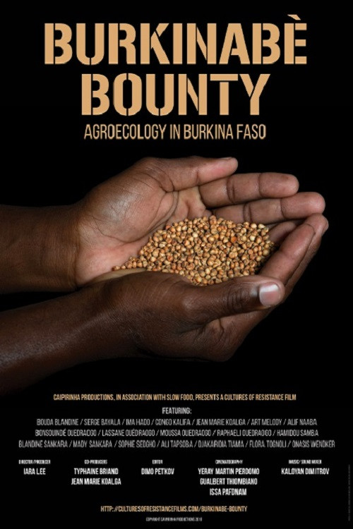 Burkinabè Bounty (2018) movie poster